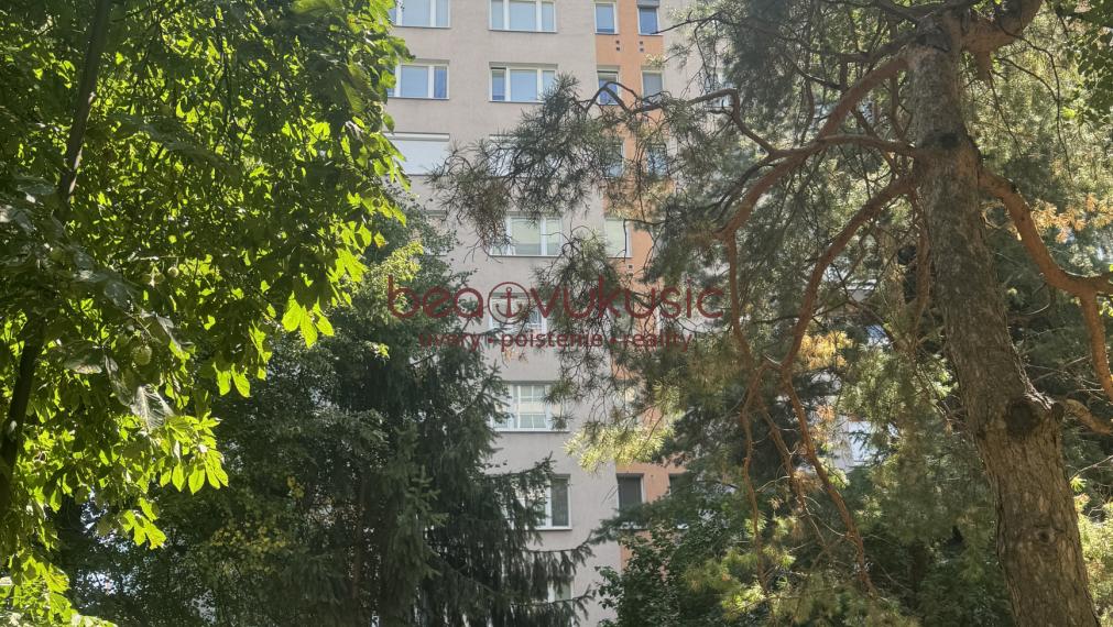 NA PREDAJ_1 izbák_37 m2_Braniskova ul._"KUZMÁNKA"_KOŠICE