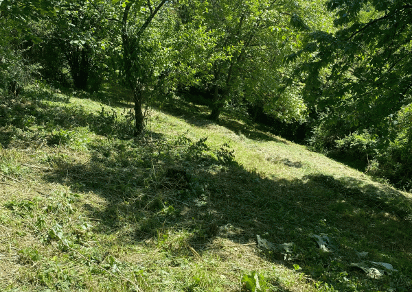 NA PREDAJ - Pozemok na Včelárskej paseke - záhrada